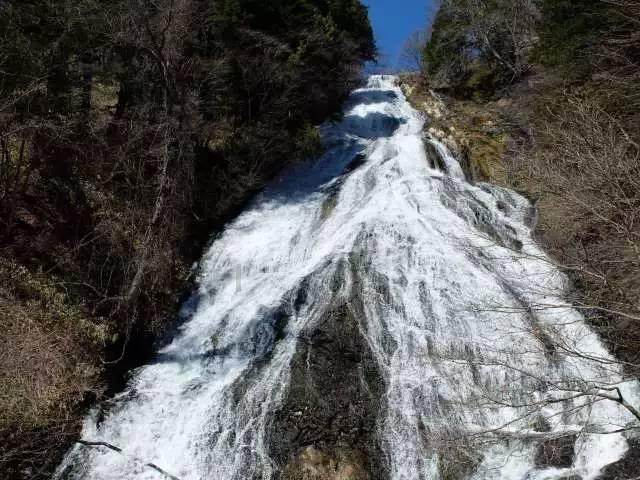 探索我去拿驾驶证说我档案有问题交到车管所去了我该怎么办?红迪网平台,发现有趣无限!